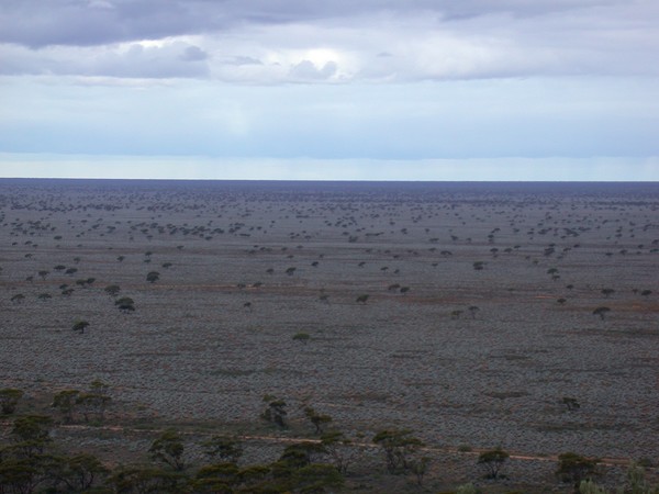Nullarbor Plain